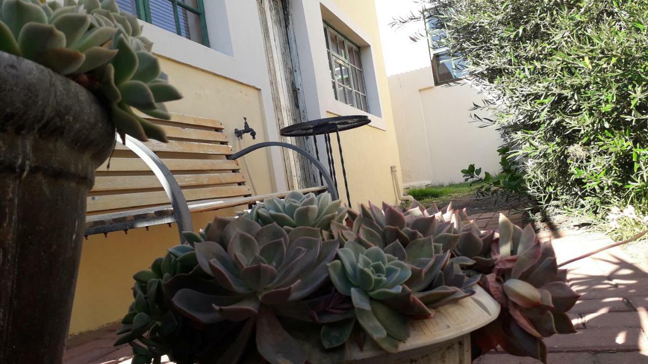 Calvinia Guesthouse Εξωτερικό φωτογραφία