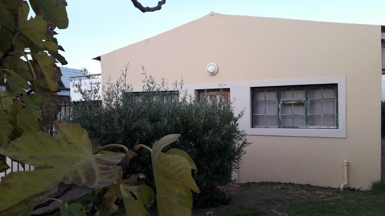 Calvinia Guesthouse Εξωτερικό φωτογραφία